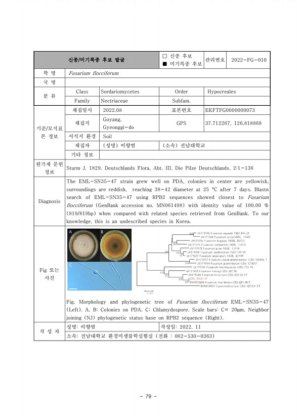 79페이지