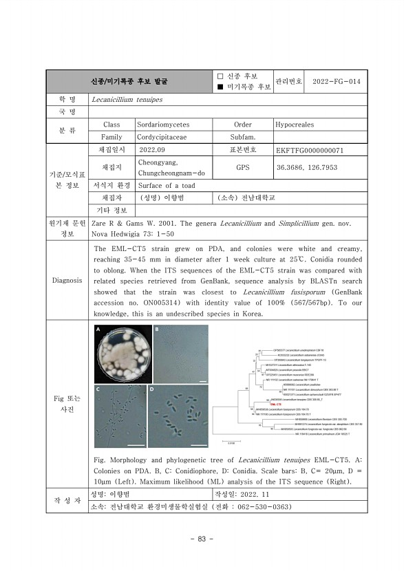 83페이지