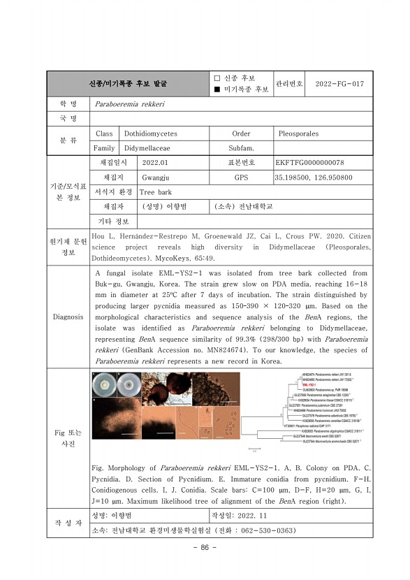86페이지