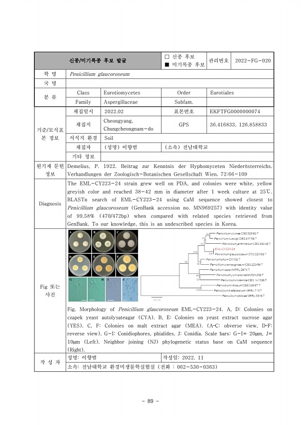 89페이지