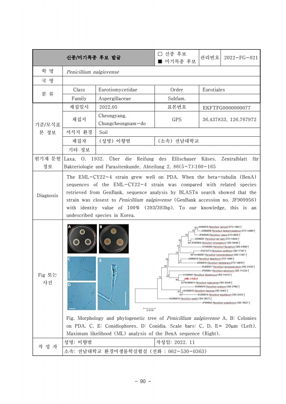 90페이지