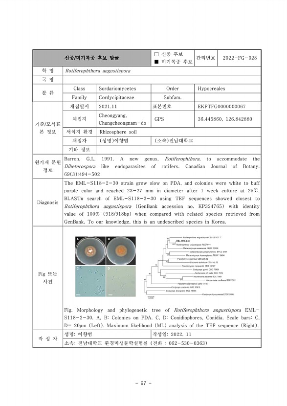 97페이지