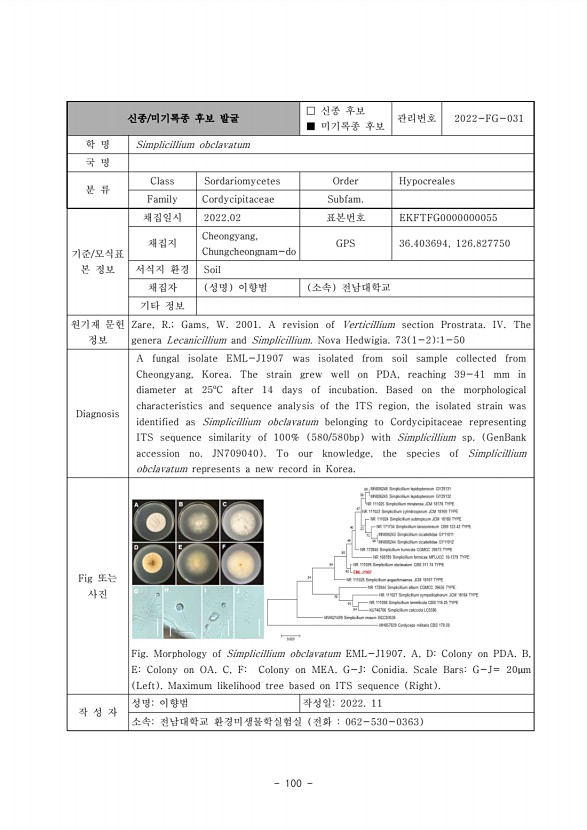 100페이지