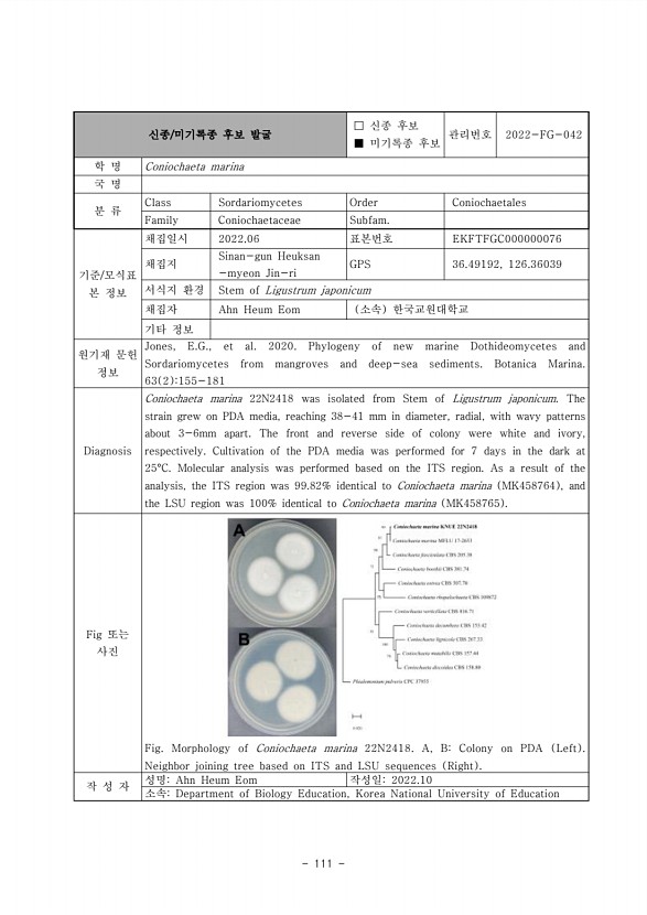 111페이지