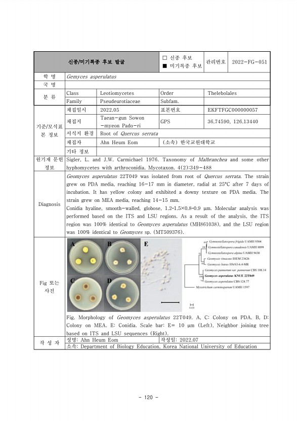 120페이지