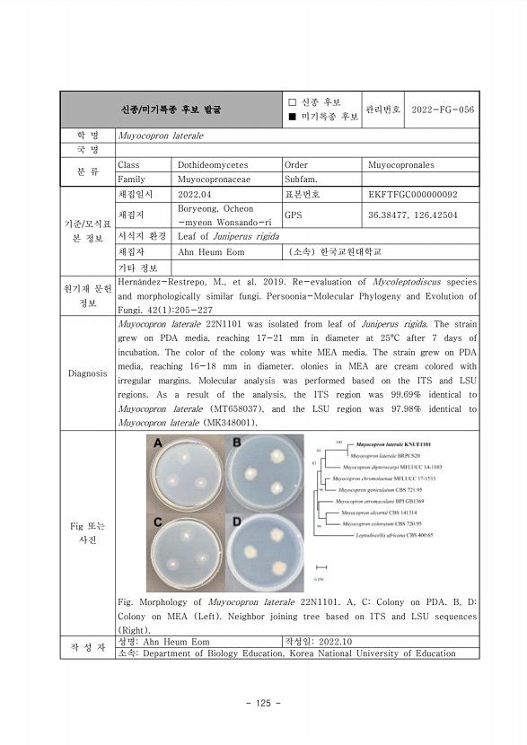 125페이지