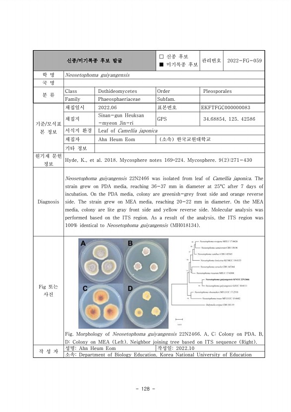 128페이지