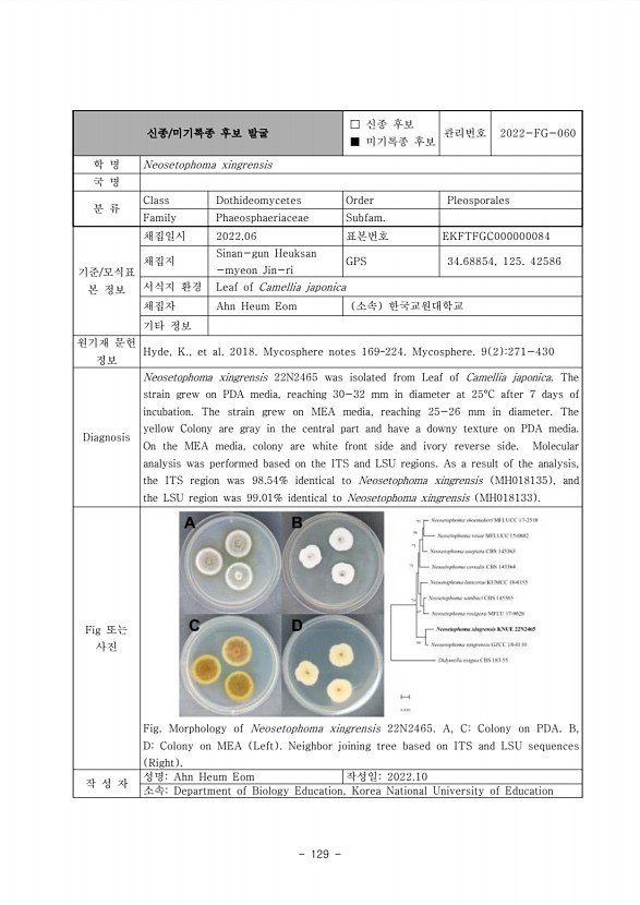 129페이지