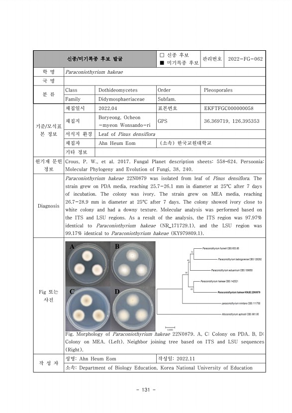 131페이지