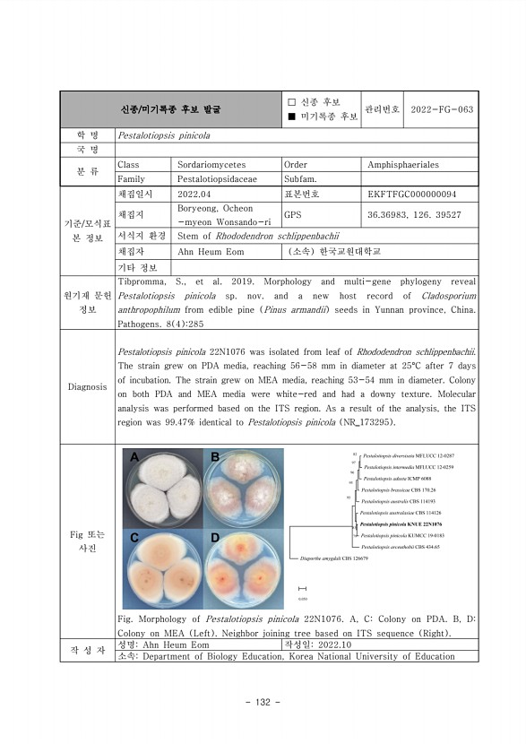 132페이지