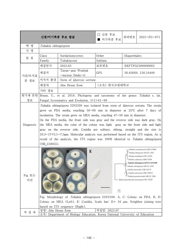140페이지