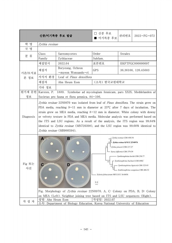 141페이지