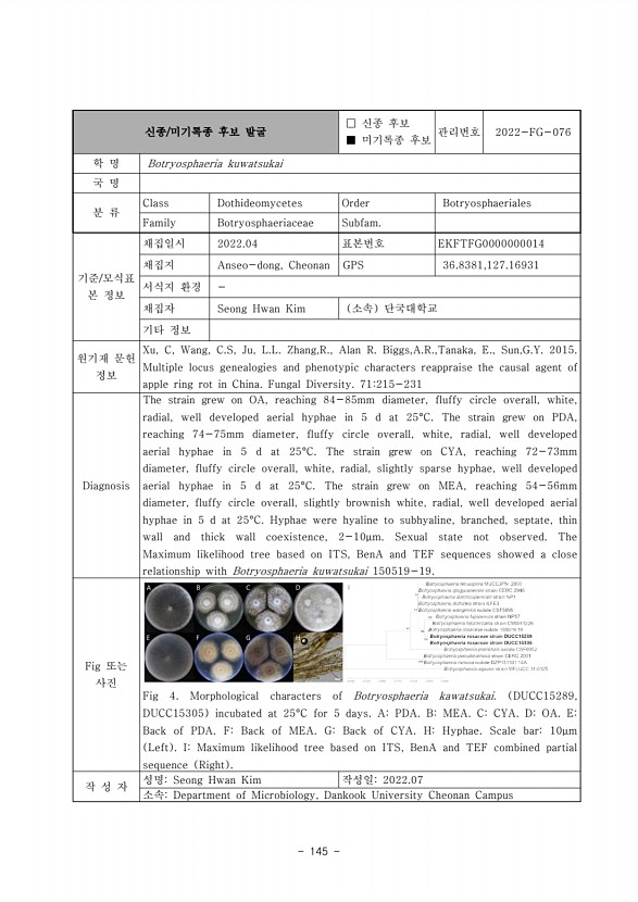 145페이지