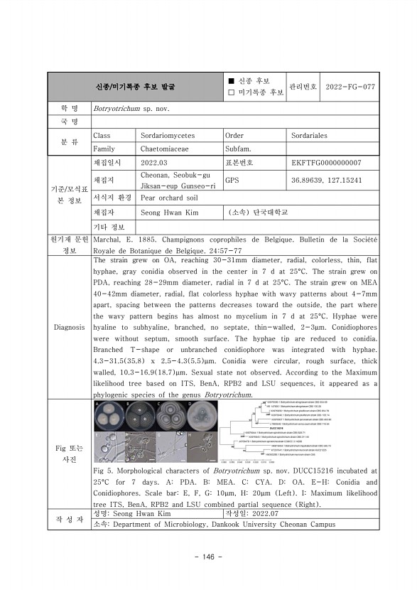 146페이지