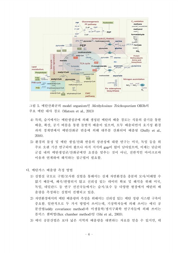 6페이지