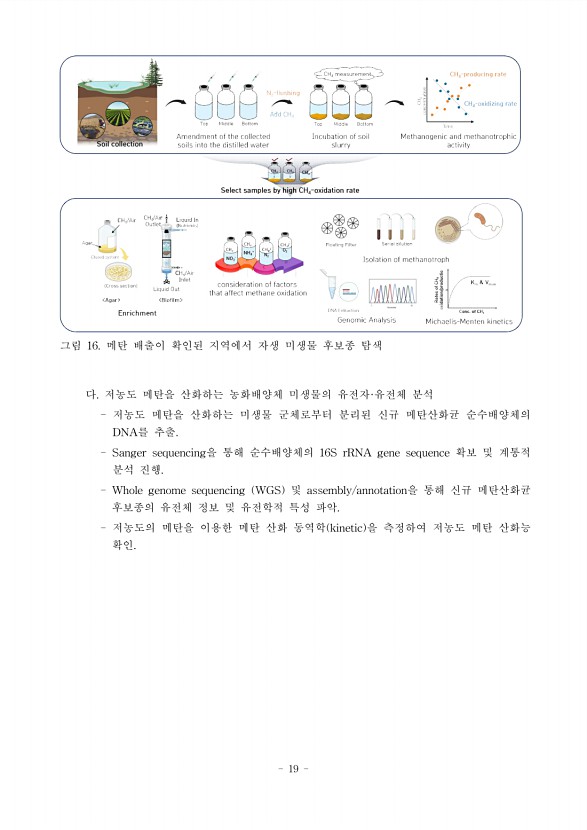 19페이지
