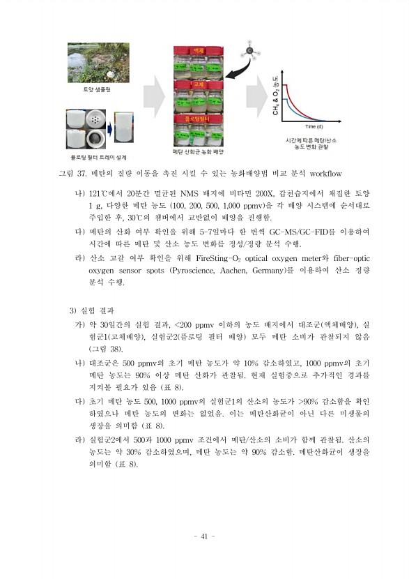 41페이지
