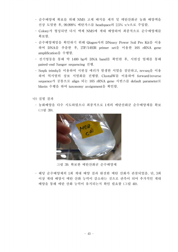 43페이지