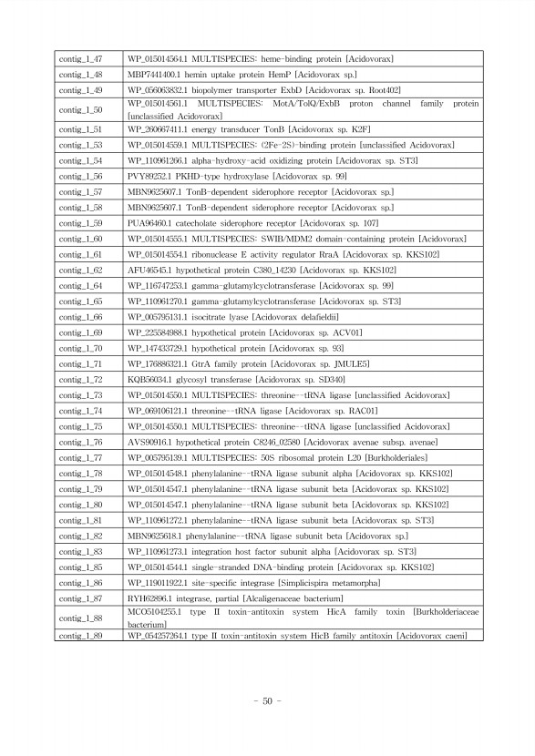 50페이지