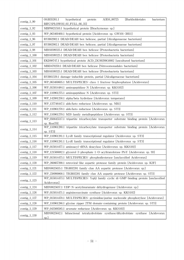 51페이지