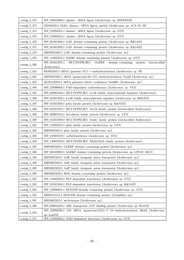 60페이지