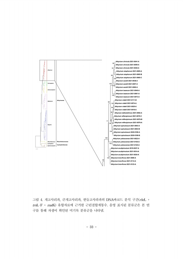 33페이지