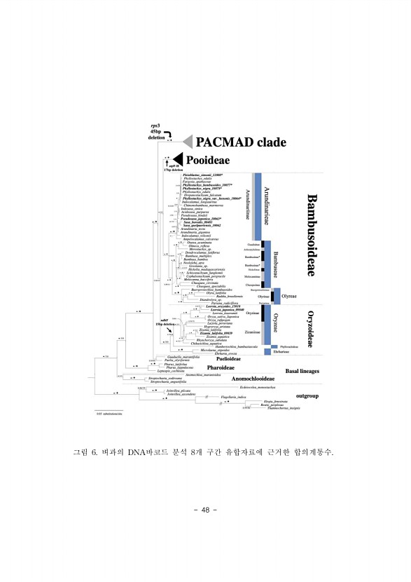 48페이지