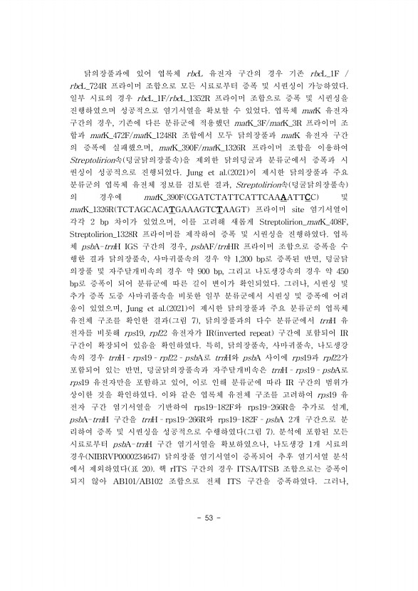 53페이지