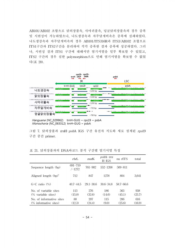 54페이지