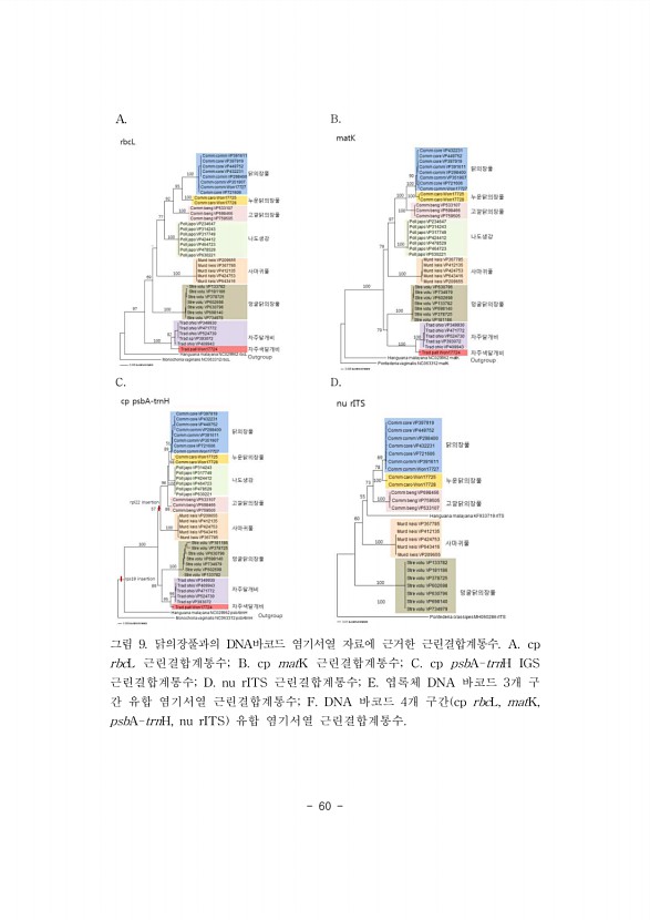 60페이지