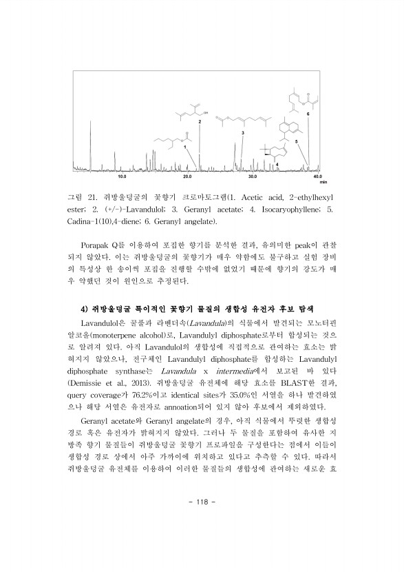 118페이지