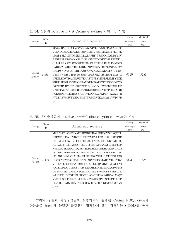 120페이지