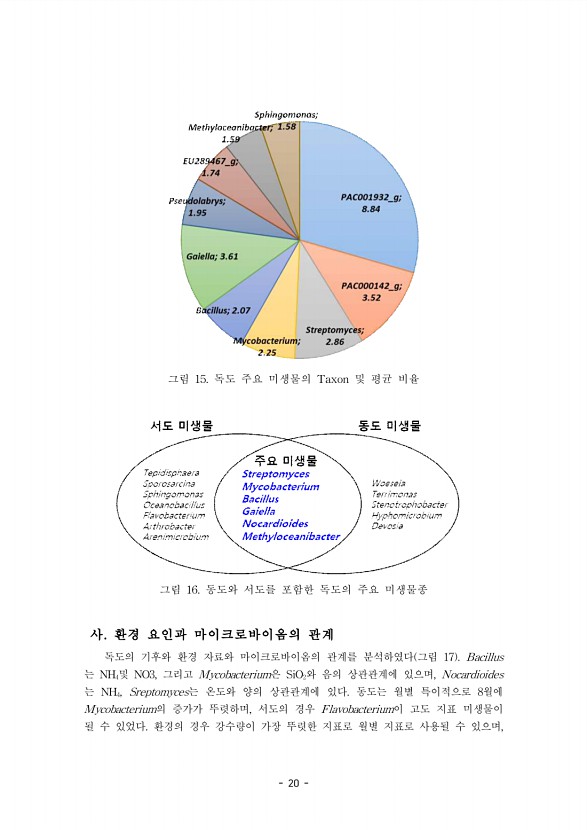 20페이지