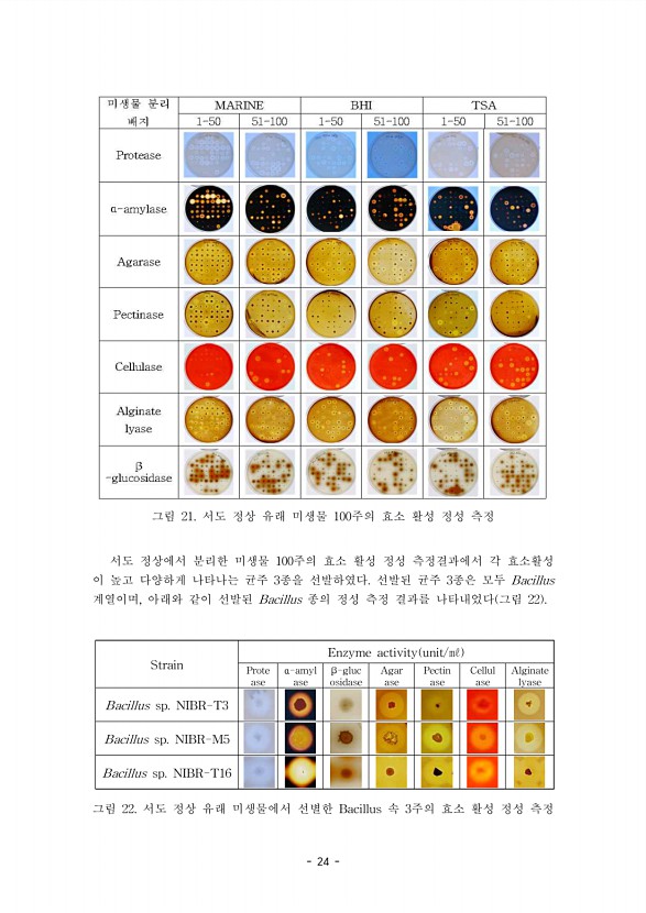 24페이지