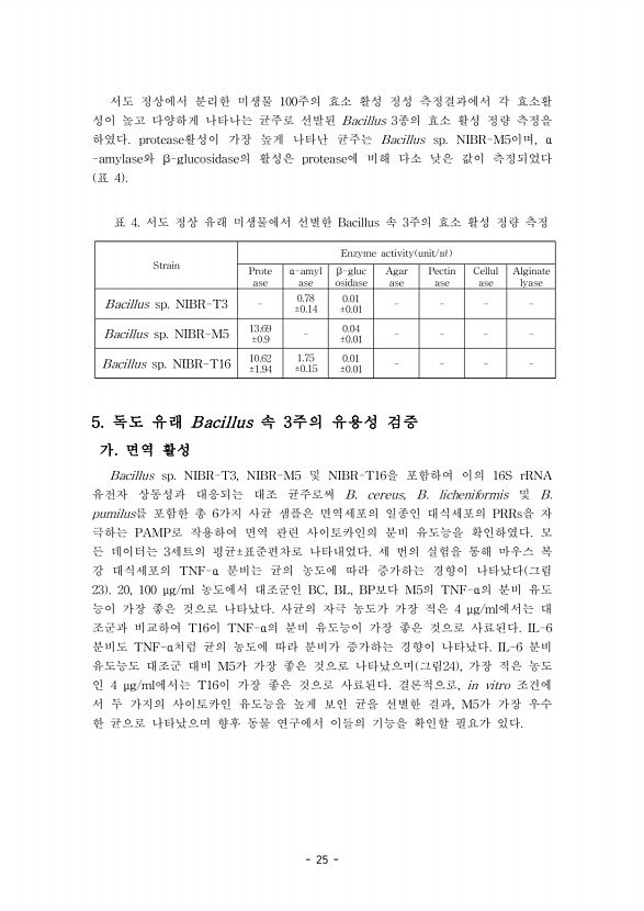 25페이지