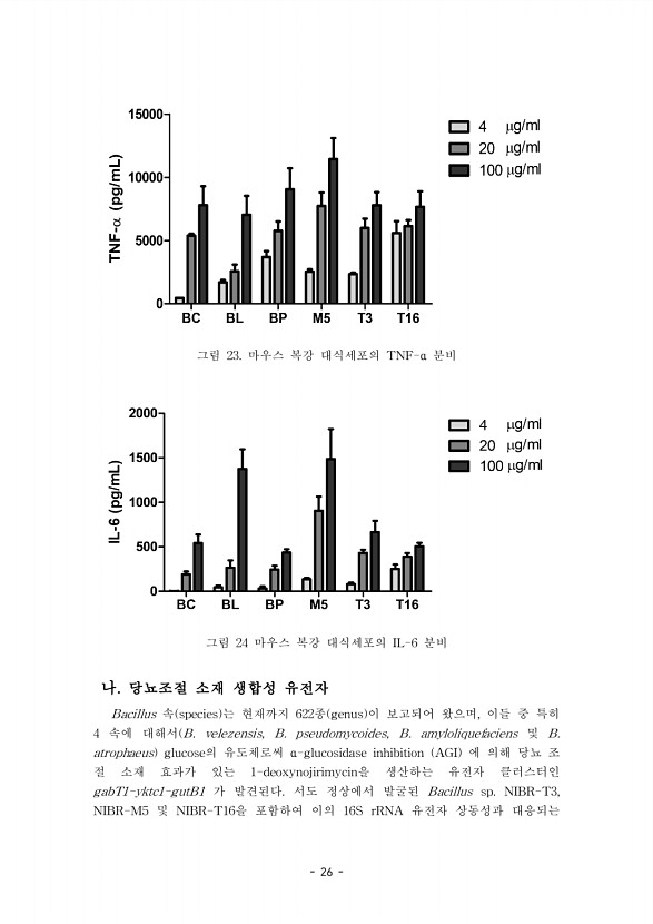 26페이지