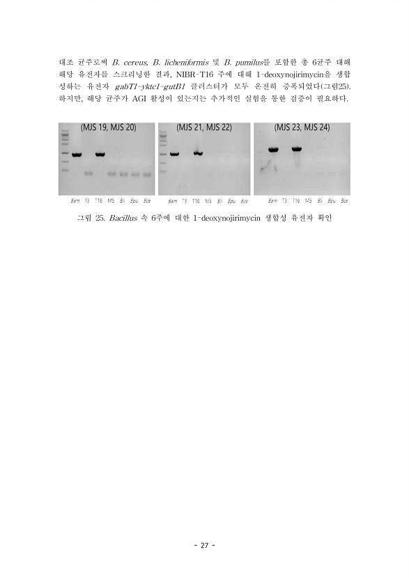 27페이지