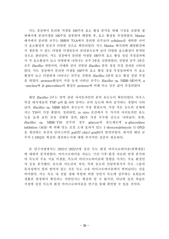 30페이지