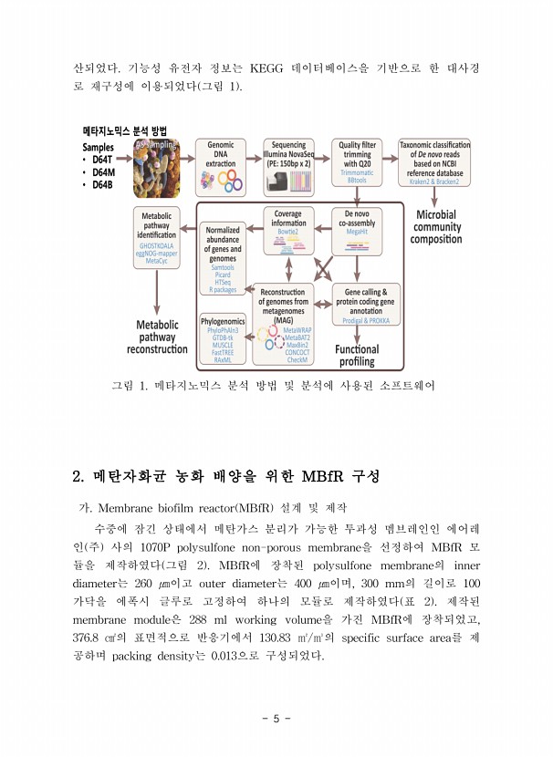 5페이지