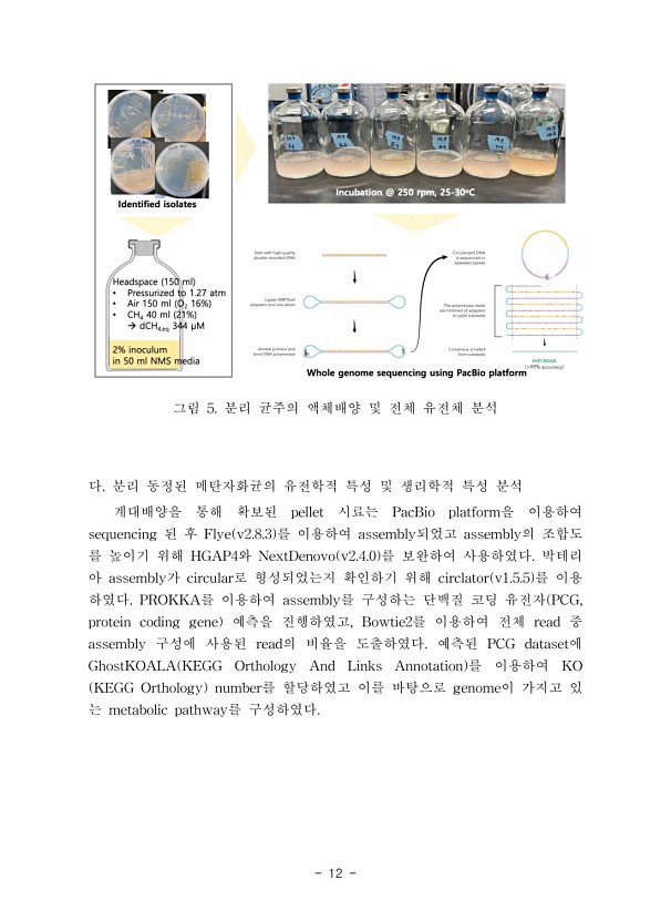 12페이지