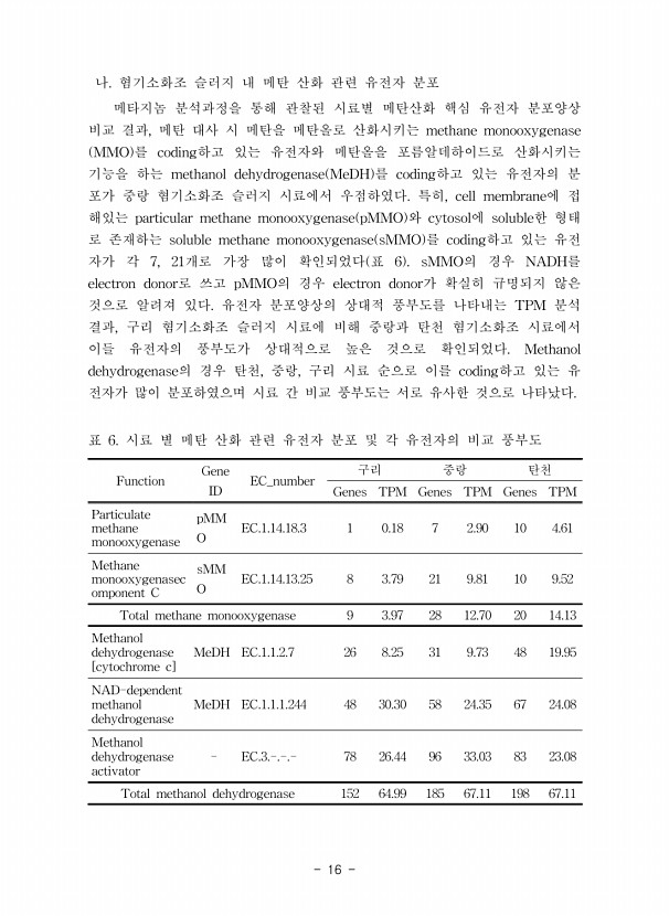 16페이지