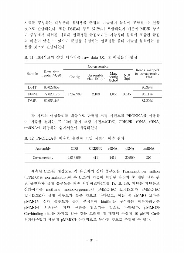 31페이지