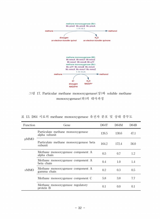 32페이지