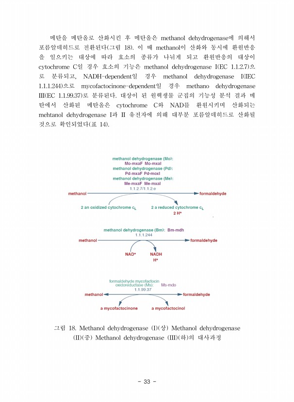 33페이지