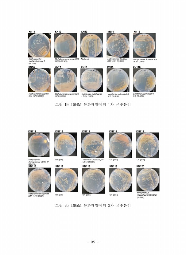 35페이지