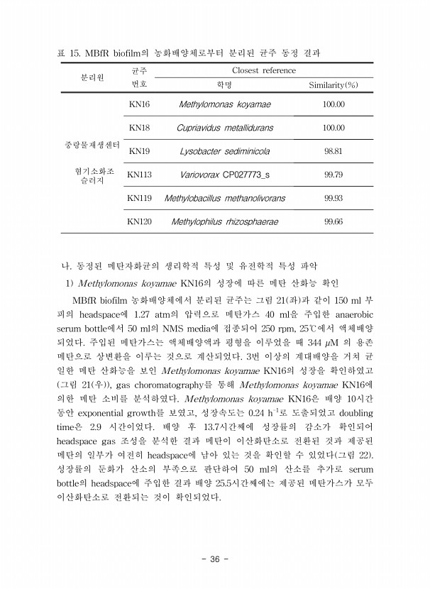 36페이지