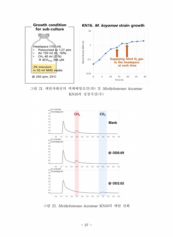 37페이지