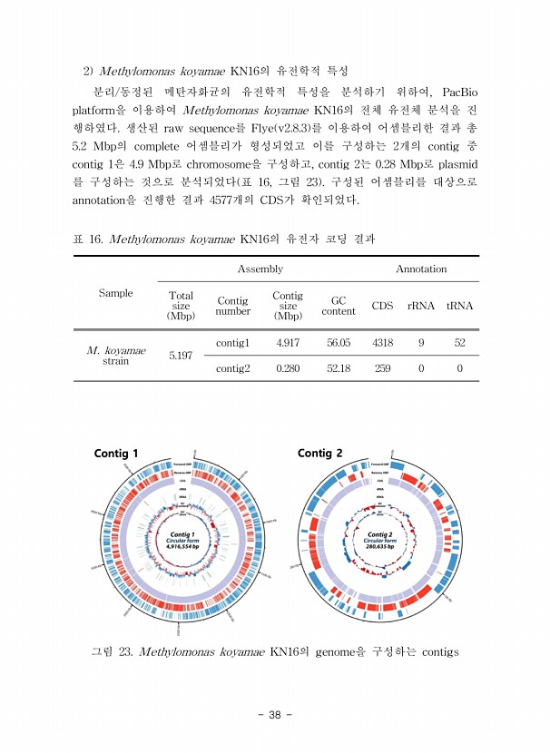 38페이지