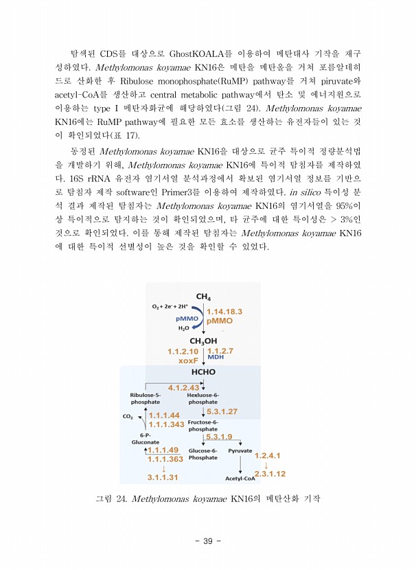 39페이지