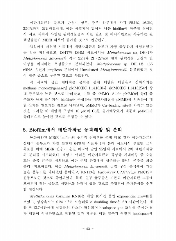 43페이지